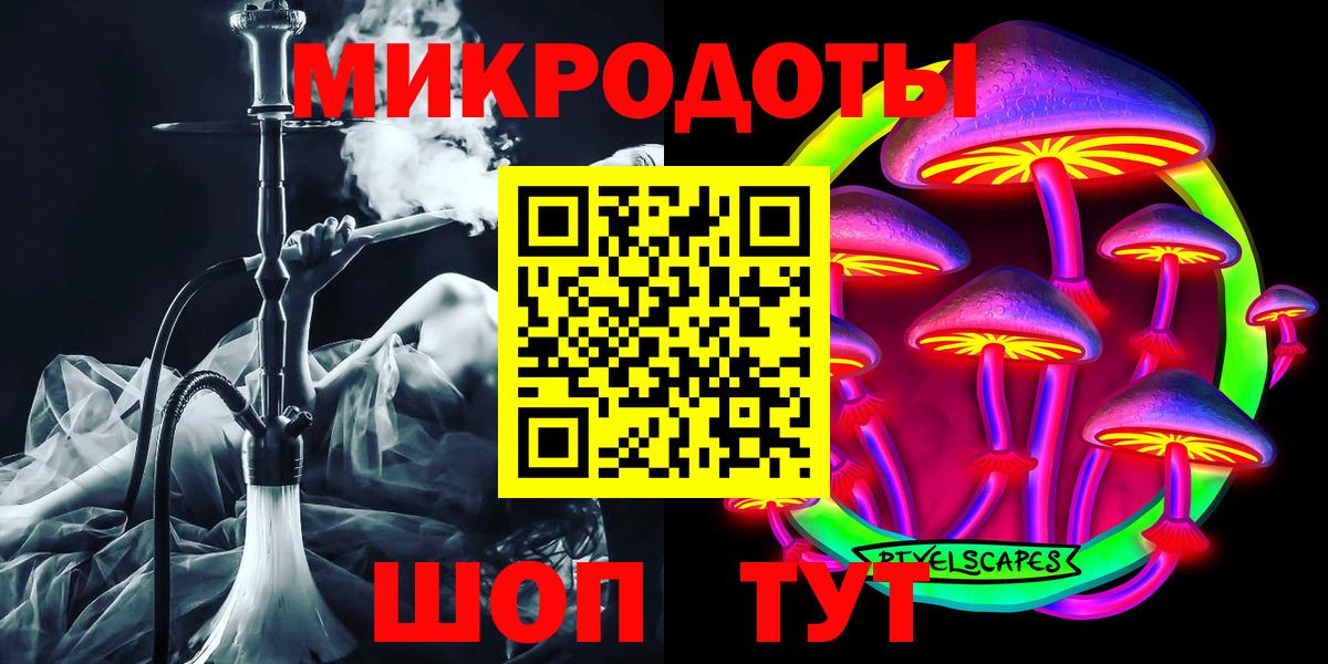 Псилоцибиновые грибы Psilocybe Медногорск