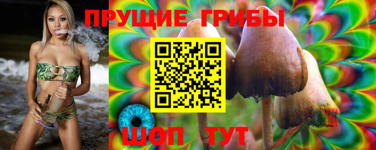 Медногорск  где найти наркотики  Вход с VPN  Галлюциногенные грибы MAGIC MUSHROOMS 